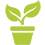 imgi_12_plant45-1