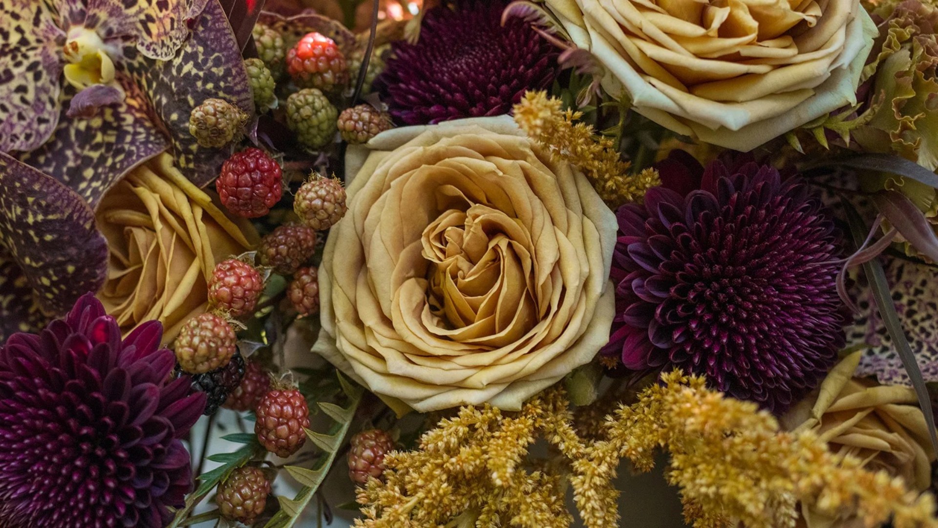 imgi_1_nov25_header_1920